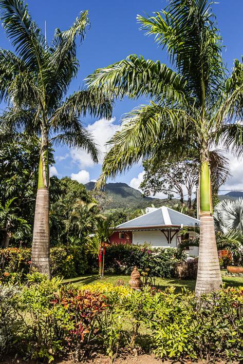 Habitation Cantamerle Капестер-Бель-О Экстерьер фото